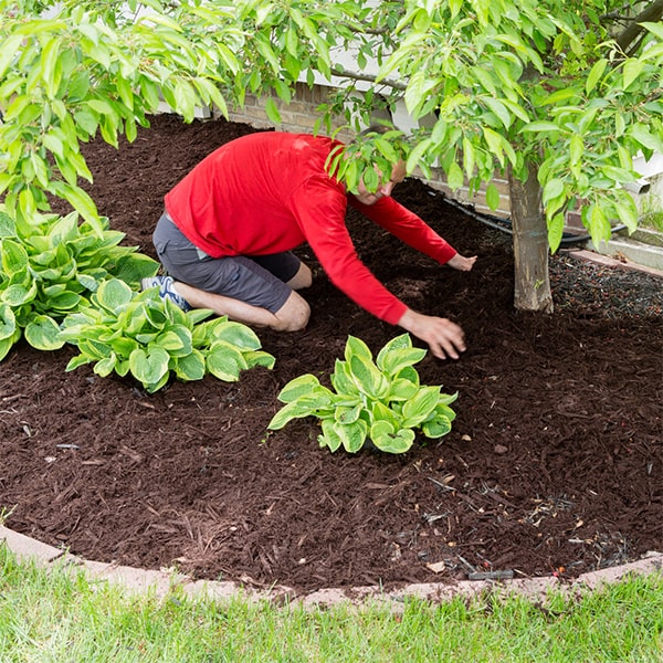 we offer a variety of mulch options for mulch installation including wood chips, pine straw, and rubber mulch